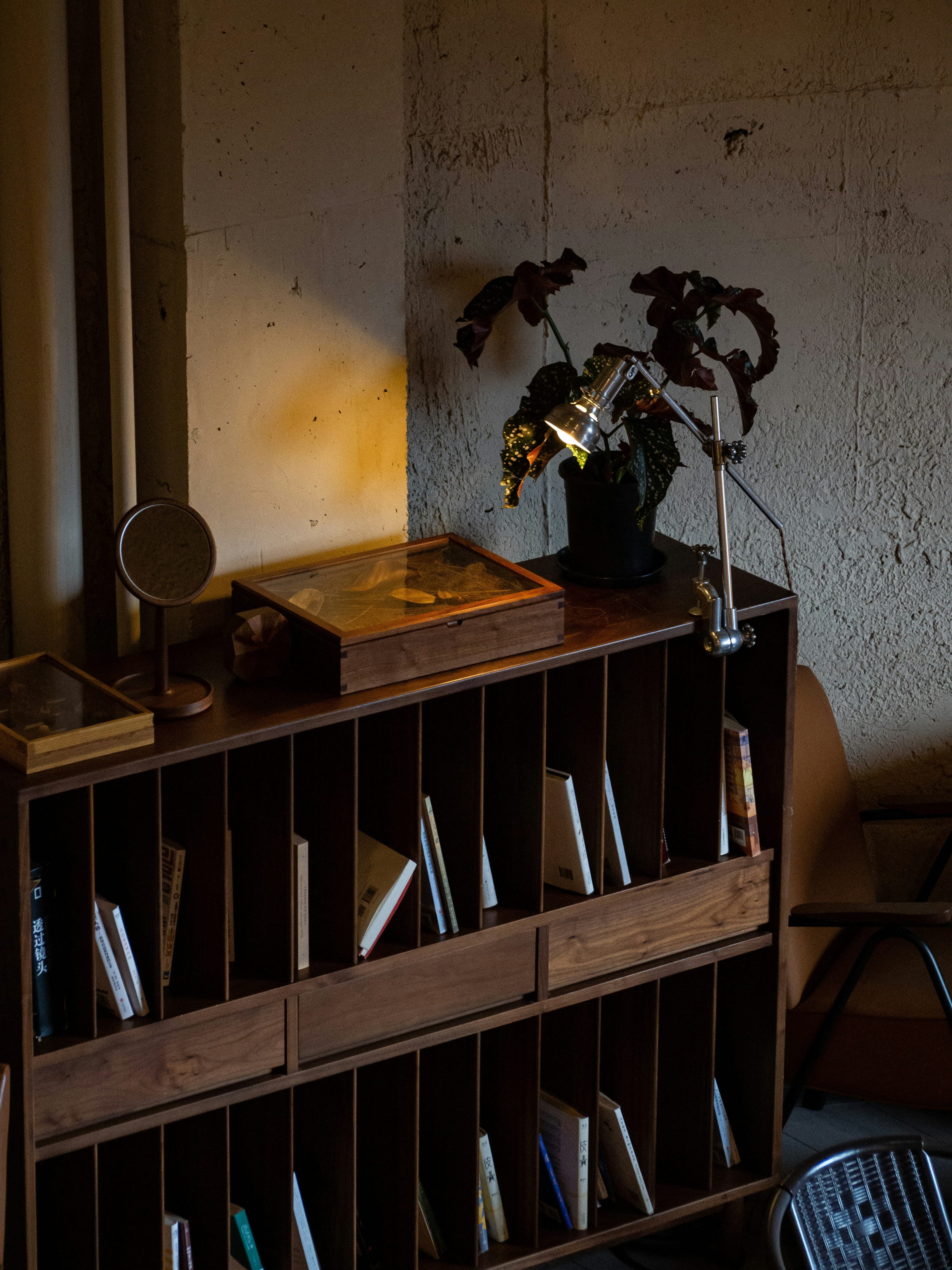 Furniture Collection